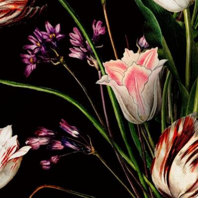 gorgeous tulips,vintage illustrations