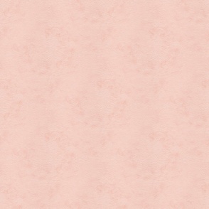 Coral Pink Solid Texture