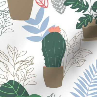 House Plants