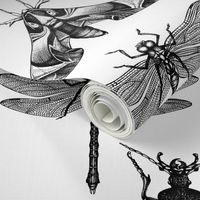 Hand-sketched insects 