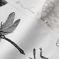 Hand-sketched insects 