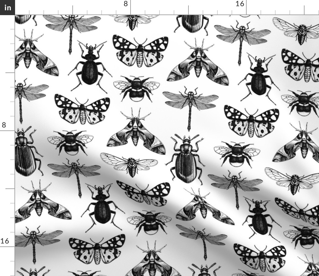 Hand-sketched insects 