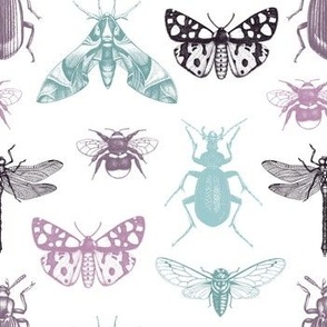 insects pattern 5