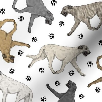 Trotting Irish Wolfhounds and paw prints - white