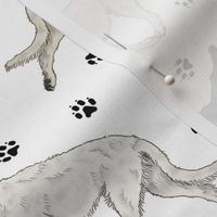 Trotting Irish Wolfhounds and paw prints - white