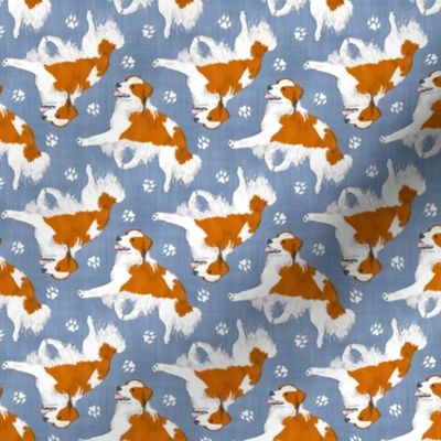 Tiny Trotting Kooikerhondje and paw prints - faux denim