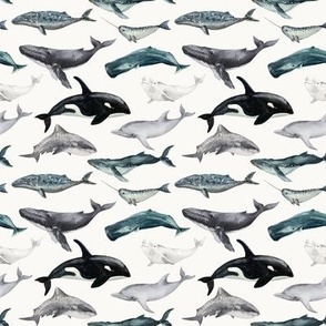 Small / Ocean Animals - Watercolor Whales, Sharks, Dolphins