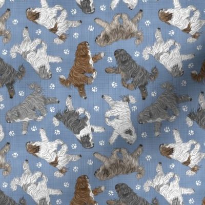 Tiny Trotting tailed Polish Lowland Sheepdogs and paw prints - faux denim