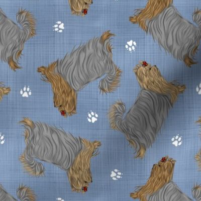 Trotting undocked Yorkshire Terriers and paw prints - faux denim