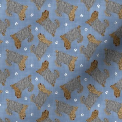 Tiny Trotting undocked Yorkshire Terriers and paw prints - faux denim