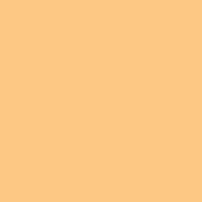 Pastel orange Solid Color