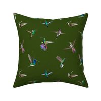 Hummingbirds of T and T -  Dark emerald