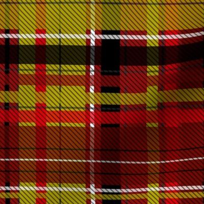 Lion House Plaid