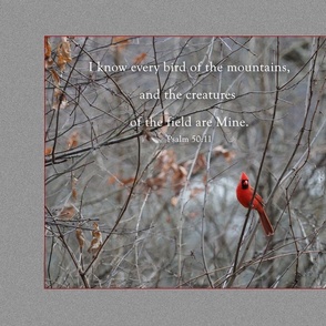 011 Every bird of the mountain Scripture