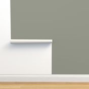 Grayish Green Solid Color 2022 Color of the Year Evergreen Fog SW 9130 Sherwin Williams Method Collection - Colour Trends - Shade