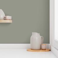 Grayish Green Solid Color 2022 Color of the Year Evergreen Fog SW 9130 Sherwin Williams Method Collection - Colour Trends - Shade