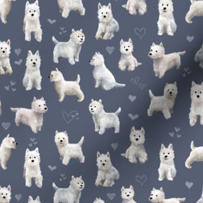 The West Highland Terrier Blue