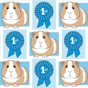 large first place guinea pigs