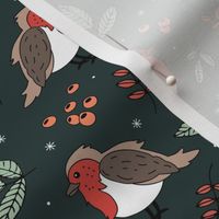 Little Christmas birds - Boho robin winter garden and leaves red sage green on pine