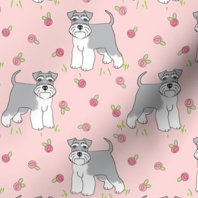 large schnauzers with roses