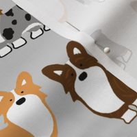 Corgi fabric