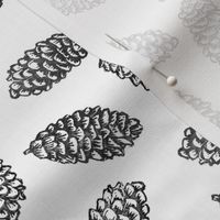 scattered spruce cones - black and white