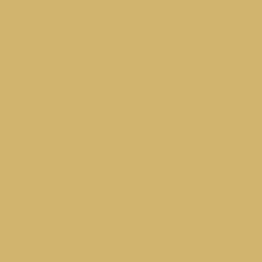 Ochre Yellow Solid Color Honey Goldenrod