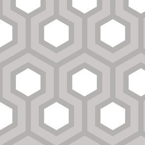 Gray Honeycomb Geo White