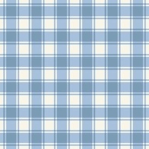 Sky Blue Gingham with Cream Background Checks Country Folksy - Smaller