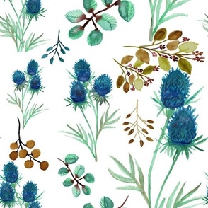 Outback Blue Thistle African Culture Collection 2022