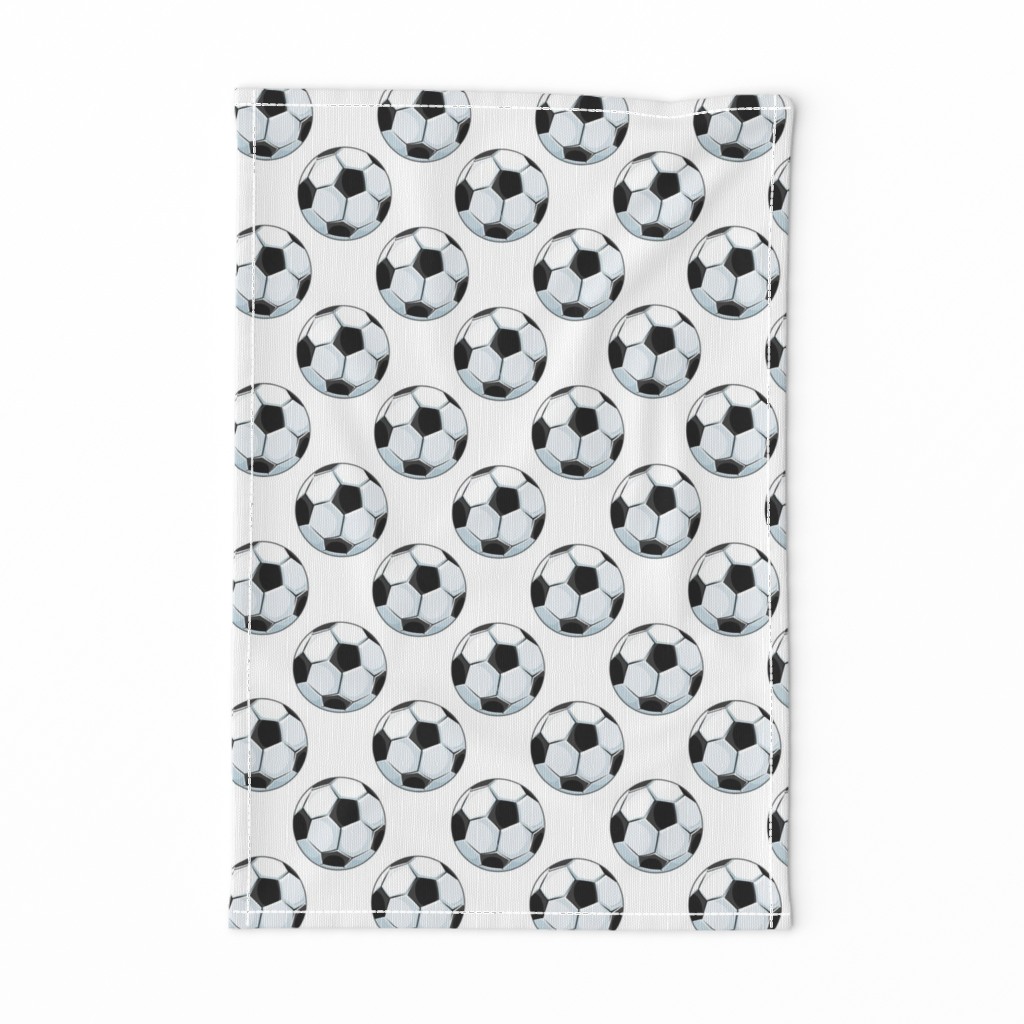 Soccer Balls on White