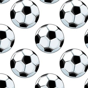 Soccer Balls on White