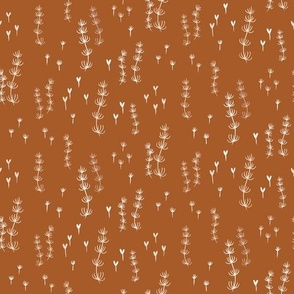 Field horsetail in caramel brown