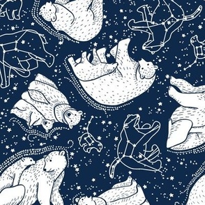 Polar Bear and Constellations / Small Scale