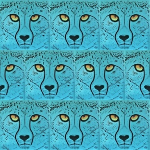ZURI the Cheetah