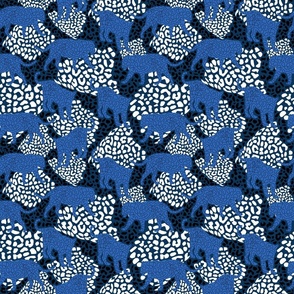 Panther pattern blue middle