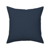 Dark Blue Solid Color 2022 Trending Hue Naval SW 6244 Sherwin Williams Opus Collection - Colour Trends - Shade