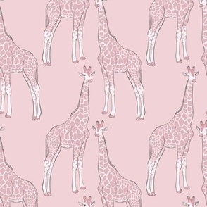Giraffe - Cotton Candy