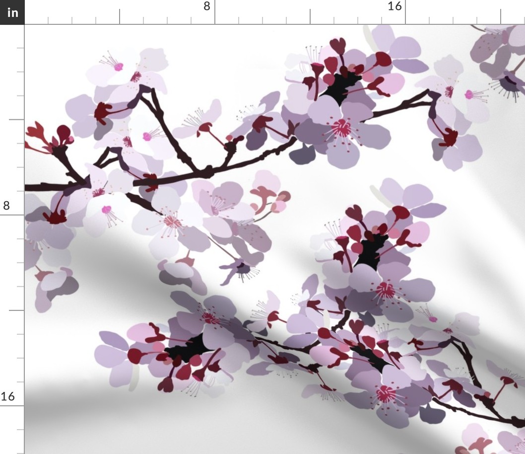 Cherry-Blossom-with-transparent-background-