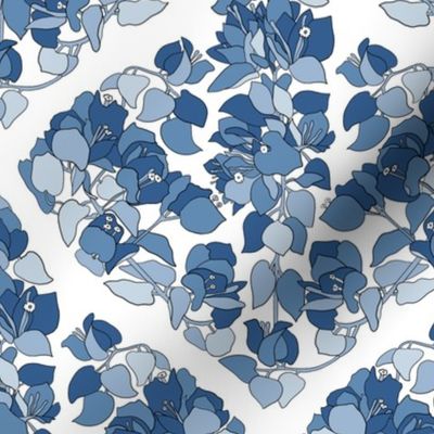 Bougainvillea Damask.Blue