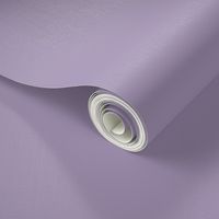 Light Purple solid-nanditasingh