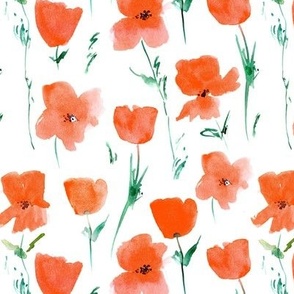 Poppies meadow in Tuscany - watercolor florals - painted loose stylized flowers a435-2
