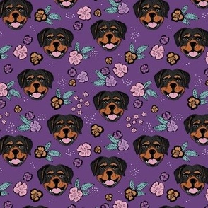 Blossom Rottweiler puppies with flowers and leaves freehand drawn dog illustration in pink blue on purple