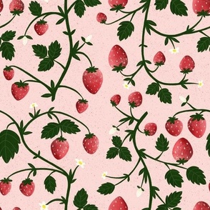 strawberry plant