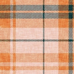 fall plaid - green/peach/orange  -  LAD21