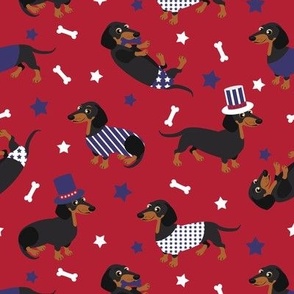 Patriotic Dachshund Black and Tan - Red