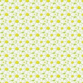 (small) SF Lime Whimsical  Daisies / Baby Soft White yellow LemonLime and Soft Green Lime Outline / Naive Simple Flowers / Solid Colors Lemon Lime and Lime/ Bedding Lining  Dress// tiny small scale 