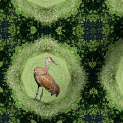 Sandhill Crane Plaid