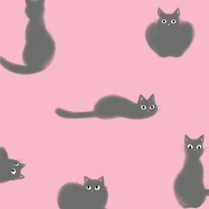 Pink Fluffy Grey Cat | SUPERSIZED (WALLPAPER)