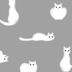 Grey Fluffy White Cat | SUPERSIZED (WALLPAPER)